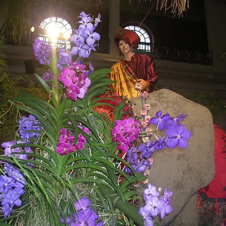 Szálloda Alexandra