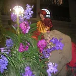 מלון Alexandra