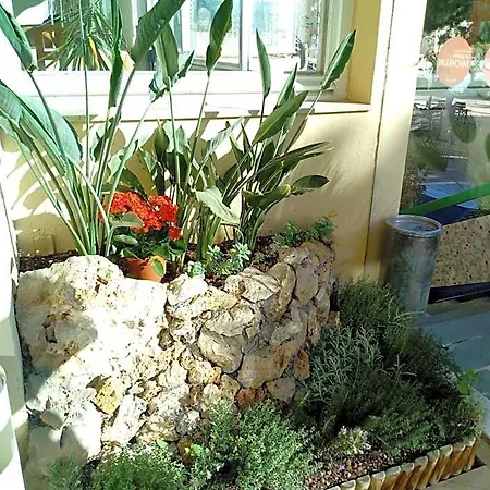 Alexandra Hotel 3*