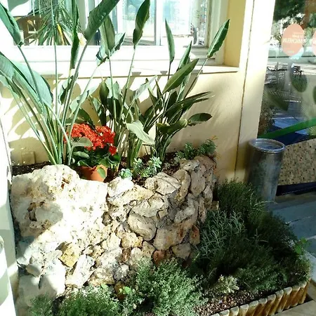 酒店 亚历山德拉酒店 罗克布吕讷-卡普马丹